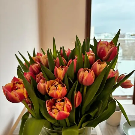 Apartment Altoria Active Gdynia