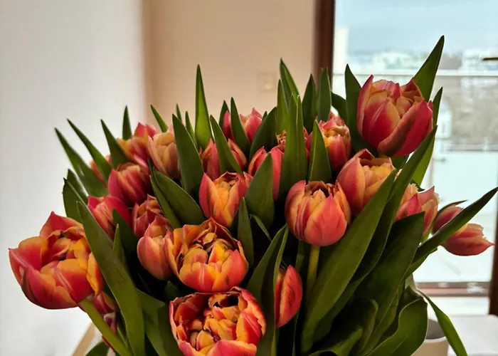 Apartmán Altoria Active Gdyně